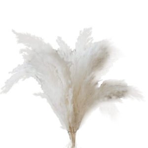 10 Pampas Stems of Pampas Grass for Wedding, Home, Event Decor