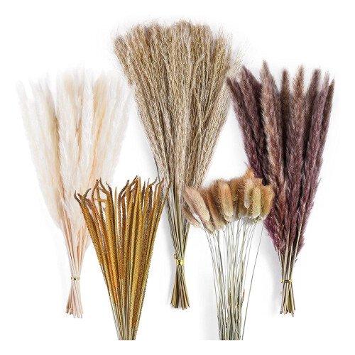 120pcs-dried-pampas-grass-bouquet-decor-room-wedding-arrangementsfall-dry-flowers-bundles-bulk-tall-1.jpg
