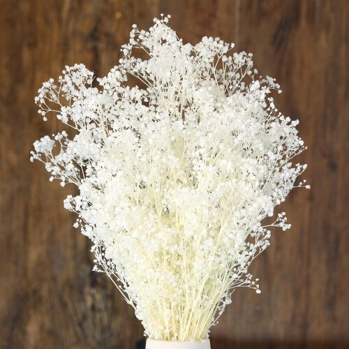17-inch-dried-babys-breath-flowers-bouquet-1500-pure-white-dry-flowers-real-natural-gypsophila-branches-for-wedding-diy-home-party-table-decor.jpg