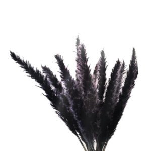 30Pcs Black Pampas Grass, 17 Inch Natural Dried Small Stems for Home Wedding Decor Flower Arrangements,Decor