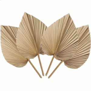 4 Pieces Natural Dried Palm Leaves are Perfect for Palm Leaf Decor