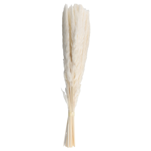 40pcs-dried-pampas-grass-45cm-for-wedding-flower-arrangements-decor.png