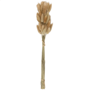 50Pcs Natural Raw Color Dried Flowers Real Flower Bouquet for Home Wedding Decoration Tail Grass Bunchs