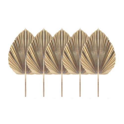 5pcs-natural-dried-palm-leaves-dried-palm-fans-boho-dry-leaves-decor.jpg