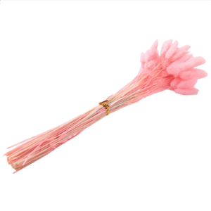 60Pcs Fall Dried Flowers Bunny Lagurus Ovatus Tail Grass for Floral(Pink)