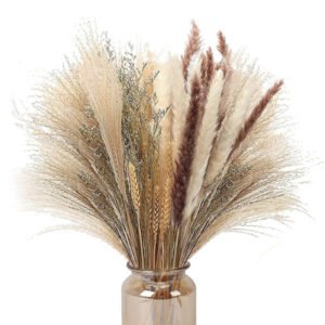 70 Pcs Natural Pampas Grass Decor, 17inch Dried Pampas Grass Decor- 5 Color Pompous Pampas Grass Plants for Flower