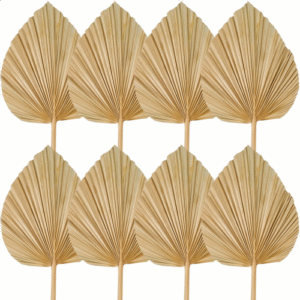 8PCS Dried Palm Leaves Decorations Trimmed Dried Palm Spear Palm Fans