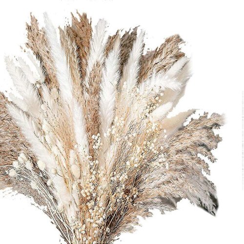 as-show-one-size-100pcs-natural-dried-pampas-grass-bouquet-dried-flower-compatible-wedding-g.jpg