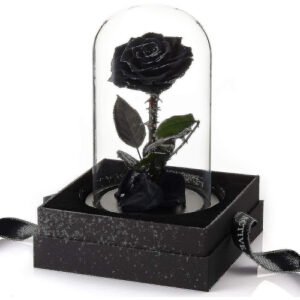 (Black) Preserved Real Rose Eternal Rose In Glass Dome Gift For Her Thanksgiving