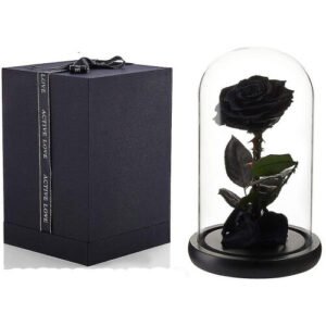 (Black) Preserved Real Rose Eternal Rose In Glass Dome Gift For Her Thanksgiving Christmas Valentine's Day Birthday Mother's Day (red)