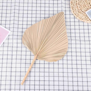 Dried Palm Leaves Room Decor 5 Pieces - 18Inch H x 10Inch W Large Natural Leaf for A Beautiful Boho Look