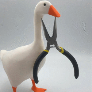 JJBRDZ Magnetic Goose Key Holder Cute Home Decor B