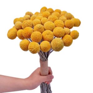 Natural Dried Flower Yellow Ball Bouquet Bunch, Real Harvested Dried Plant Bunch, Decoration Crafts