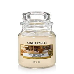 Yankee Candle Small Jar Scented Candle, Winter Wonder