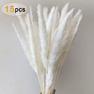 Pampasgras, Natural Pampasgras Getrocknet Deco Pampas Gras Communis Dry Flowers Flower Bouquet for Living Room Home Photography Hotel Wedding 55cm