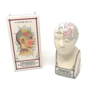 Phrenology Head