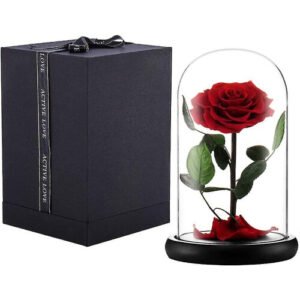 (Red) Preserved Real Rose Eternal Rose In Glass Dome Gift For Her Thanksgiving Christmas Valentine's Day Birthday Mother's Day (red)